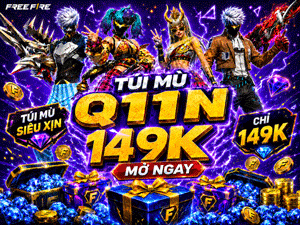 Túi Mù Q11N 149k