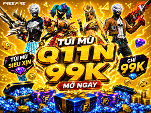 Túi Mù Q11N 99k