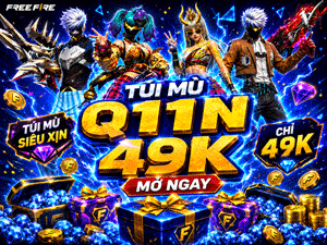 Túi Mù Q11N 49k