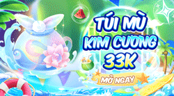 Túi Mù Kim Cương 33K