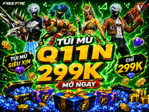 Túi Mù Q11N 299k