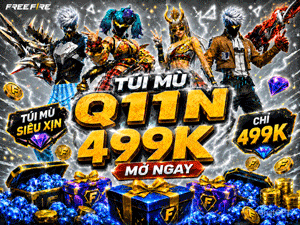 Túi Mù Q11N 499k